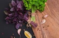 A bunch of fresh parsley and red basil bandaged with a rope with Royalty Free Stock Photo