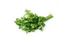 Bunch of fresh parsley with small drops of water Isolated on a white background Royalty Free Stock Photo