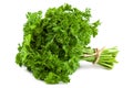 Bunch fresh parsley on white background Royalty Free Stock Photo