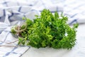 Bunch fresh parsley. Royalty Free Stock Photo