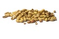 Fresh Peanuts Isolated Royalty Free Stock Photo