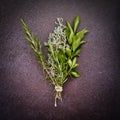 A bunch of fresh picked herbs Royalty Free Stock Photo