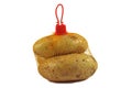 Bunch fresh potatoes in a orange mesh bag Royalty Free Stock Photo