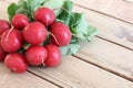Bunch fresh radish Royalty Free Stock Photo
