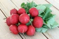 Bunch fresh radish Royalty Free Stock Photo