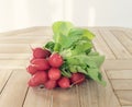 Bunch of fresh radish lies on a light wooden table Royalty Free Stock Photo