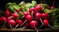 bunch of fresh radishes