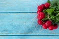 Bunch of fresh radishes with green leaves and stems on wooden table with copy space, top view Royalty Free Stock Photo