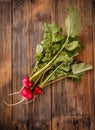 Bunch of fresh radishes Royalty Free Stock Photo