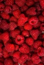 Bunch of fresh raspberries close up