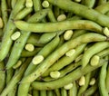 Broad beans closeup Royalty Free Stock Photo