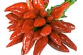 Bunch of fresh red chillies Royalty Free Stock Photo