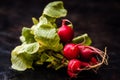 Bunch of Fresh Red Radish with Green Leaves on Dark Background Royalty Free Stock Photo