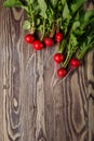 Bunch of fresh red radish, on wooden table Royalty Free Stock Photo