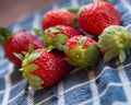 Red ripe sweet strawberries on blue cloth