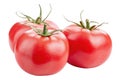 Bunch of fresh, red tomatoes with green stems isolated on white background. File contains clipping path Royalty Free Stock Photo