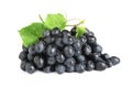 Bunch of fresh ripe juicy dark blue grapes with leaves isolated on white Royalty Free Stock Photo