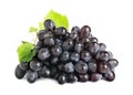 Bunch of fresh ripe juicy dark blue grapes with leaves isolated on white Royalty Free Stock Photo
