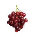 Bunch of fresh ripe juicy red grapes isolated on white Royalty Free Stock Photo