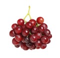 Bunch of fresh ripe juicy red grapes isolated on white Royalty Free Stock Photo