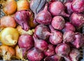 Bunch of fresh ripe onion heads lie on trading counter. Autumn agricultural fair. Texture surface background