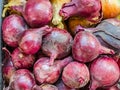 Bunch of fresh ripe onion heads lie on trading counter. Autumn agricultural fair. Texture surface background