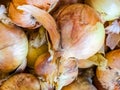 Bunch of fresh ripe onion heads lie on trading counter. Autumn agricultural fair. Texture surface background