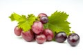 Bunch of fresh pink grapes with green leaves isolated on white background Royalty Free Stock Photo