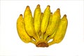 Pisang Awak banana on white background Royalty Free Stock Photo