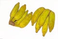 Pisang Awak banana on white background Royalty Free Stock Photo