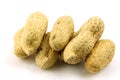 A bunch of fresh roasted peanuts Royalty Free Stock Photo