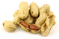 A bunch of fresh roasted peanuts and a peeled one Royalty Free Stock Photo