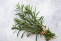 Bunch of fresh rosemary sprigs on a grey concrete background with copy space.