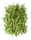 Bunch fresh rosemary top view. Gardening farming