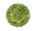 Bunch fresh rosemary top view. Gardening farming