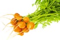 Bunch of fresh round carrots, organic vegetables, vegetarian food Royalty Free Stock Photo