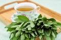 Bunch of fresh sage herb leaves laying in fron of a cup of herbal tea Royalty Free Stock Photo