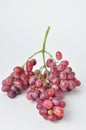 bunch of fresh seedless red grapes isolated on white background Royalty Free Stock Photo