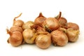 Bunch of fresh shallots Royalty Free Stock Photo