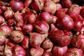 a bunch of fresh shallots Royalty Free Stock Photo