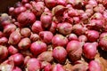 a bunch of fresh shallots Royalty Free Stock Photo