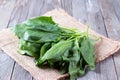 Bunch of fresh sorrel on a wooden background Royalty Free Stock Photo
