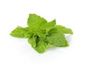 Bunch of fresh spearmint isolated on white Royalty Free Stock Photo