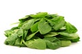 Bunch of fresh spinach leaves