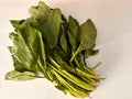 Bunch of Fresh spinach leaves