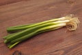 Bunch of fresh summer leeks on rustic wooden table Royalty Free Stock Photo