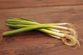 Bunch of fresh summer leeks on wooden table Royalty Free Stock Photo