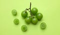 bunch of fresh sweet green shine muscat (vitis vinifera) grape and leaf isolate on green background Royalty Free Stock Photo