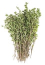 Bunch of fresh thyme against white background Royalty Free Stock Photo