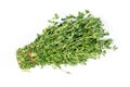 Bunch of fresh thyme on isolated white background Royalty Free Stock Photo
